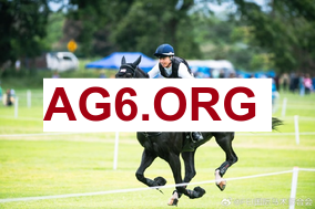 焦点战直播：布伦特福德对阵布莱顿